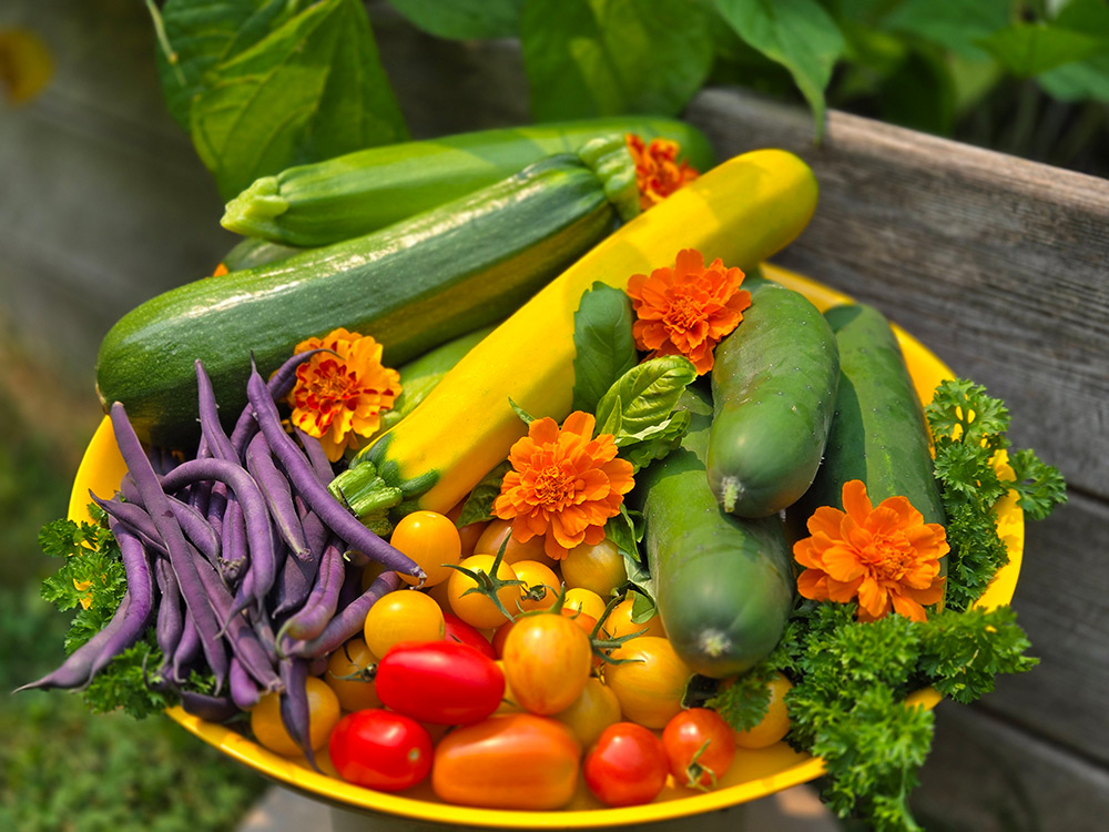 edible garden