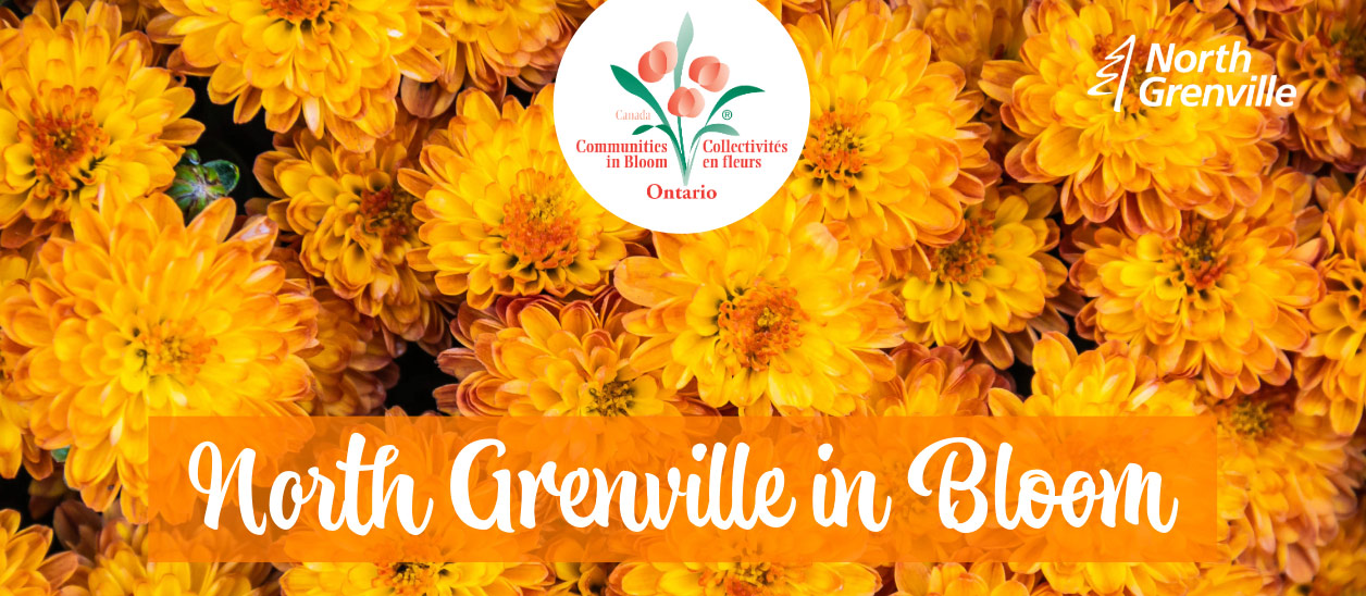 Communities in Bloom North Grenville