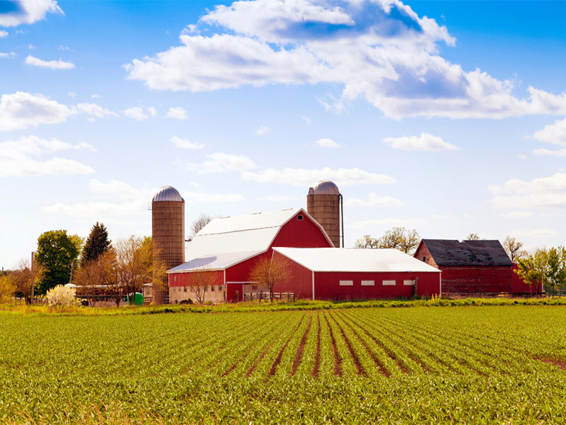 red barn, blue sky, green field