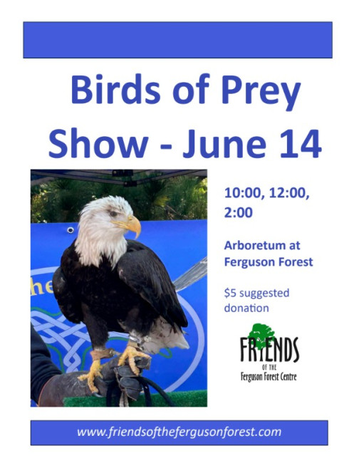 birdsOfPrey.jpg