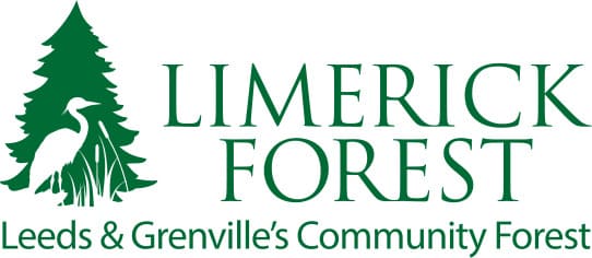 limerick forest logo