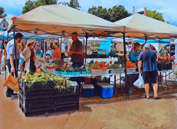 Kemptville Farmer's Market