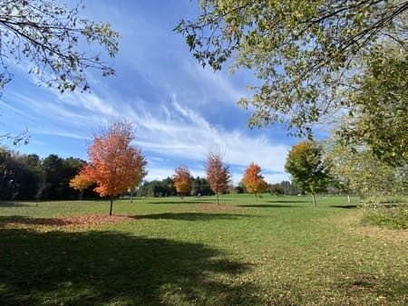 Ferguson Forest Centre Arboretum